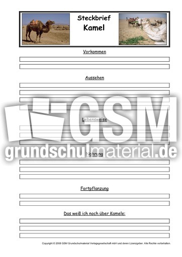 Kamel-Steckbriefvorlage.pdf